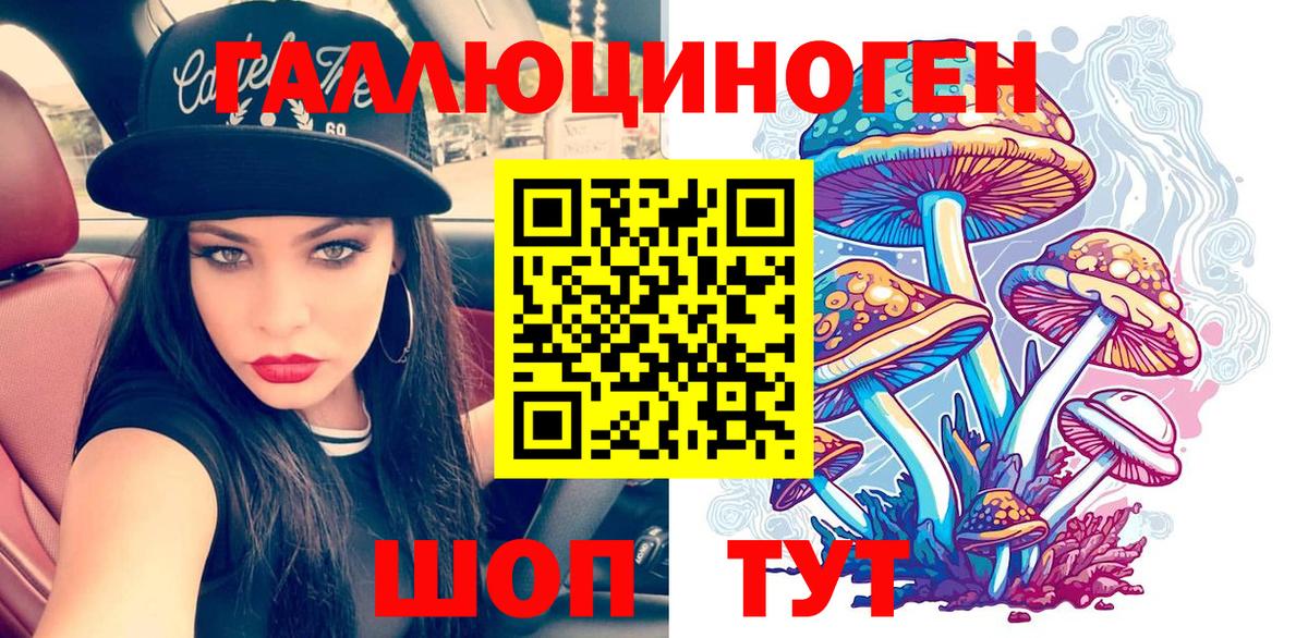 Галлюциногенные грибы Cubensis Кингисепп