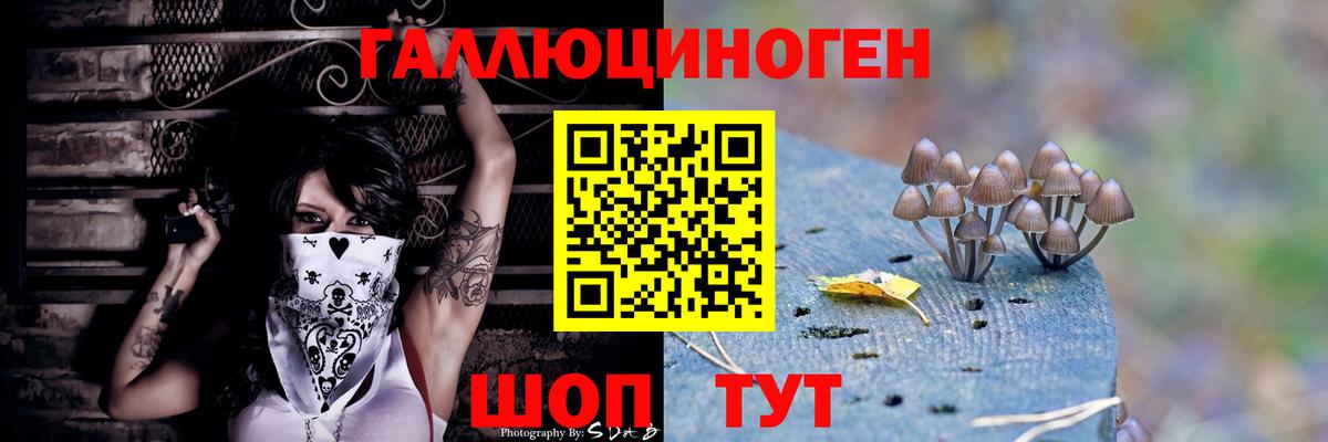 Галлюциногенные грибы Psilocybine cubensis  как найти закладки  Кингисепп  Псилоцибиновые грибы Psilocybe  Вход с VPN 